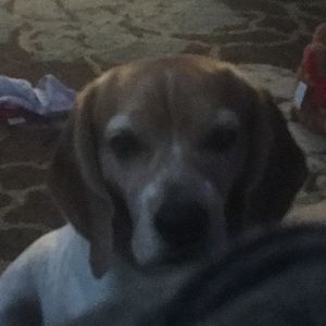 Meet your Posher, Corinne